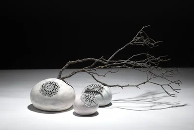 Three vessels with branch