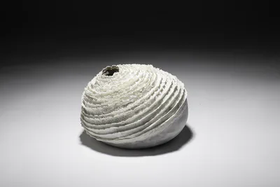 Ribbed vessel