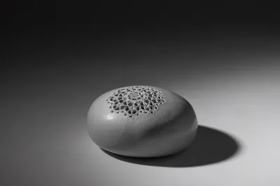 Black iridescent lace