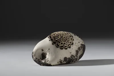 Pebble with lace on dark background