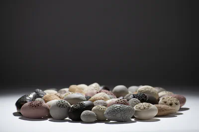 Pebble and lace: a meeting of nature, memory, and form